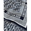 Scarf-Dior-015