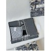 Scarf-Dior-023