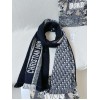 Scarf-Dior-024