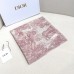 Scarf-Dior-030