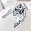 Scarf-Dior-054