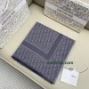 Scarf-Dior-065