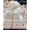Scarf-Dior-070