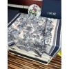 Scarf-Dior-071