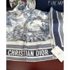 Scarf-Dior-071