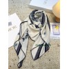 Scarf-Dior-084