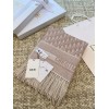 Scarf-Dior-085