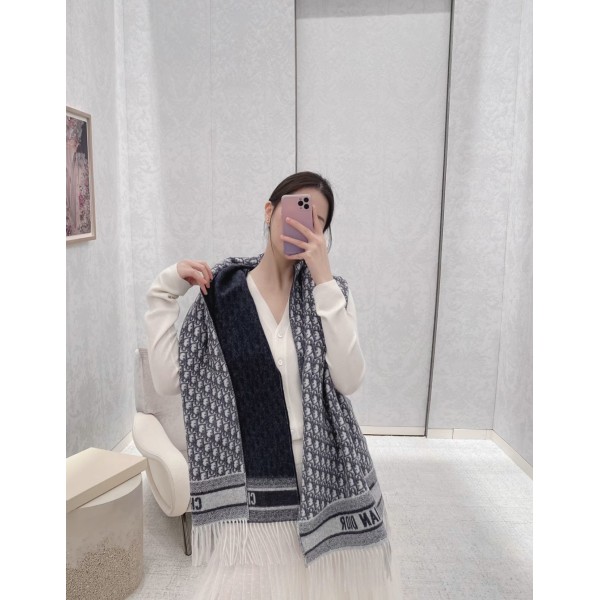 Scarf-Dior-086