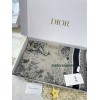 Scarf-Dior-090