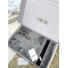 Scarf-Dior-091