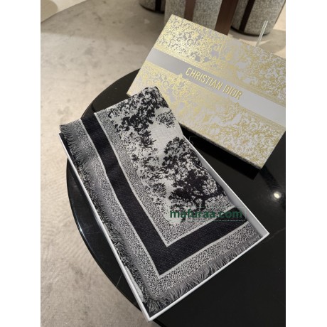 Scarf-Dior-095